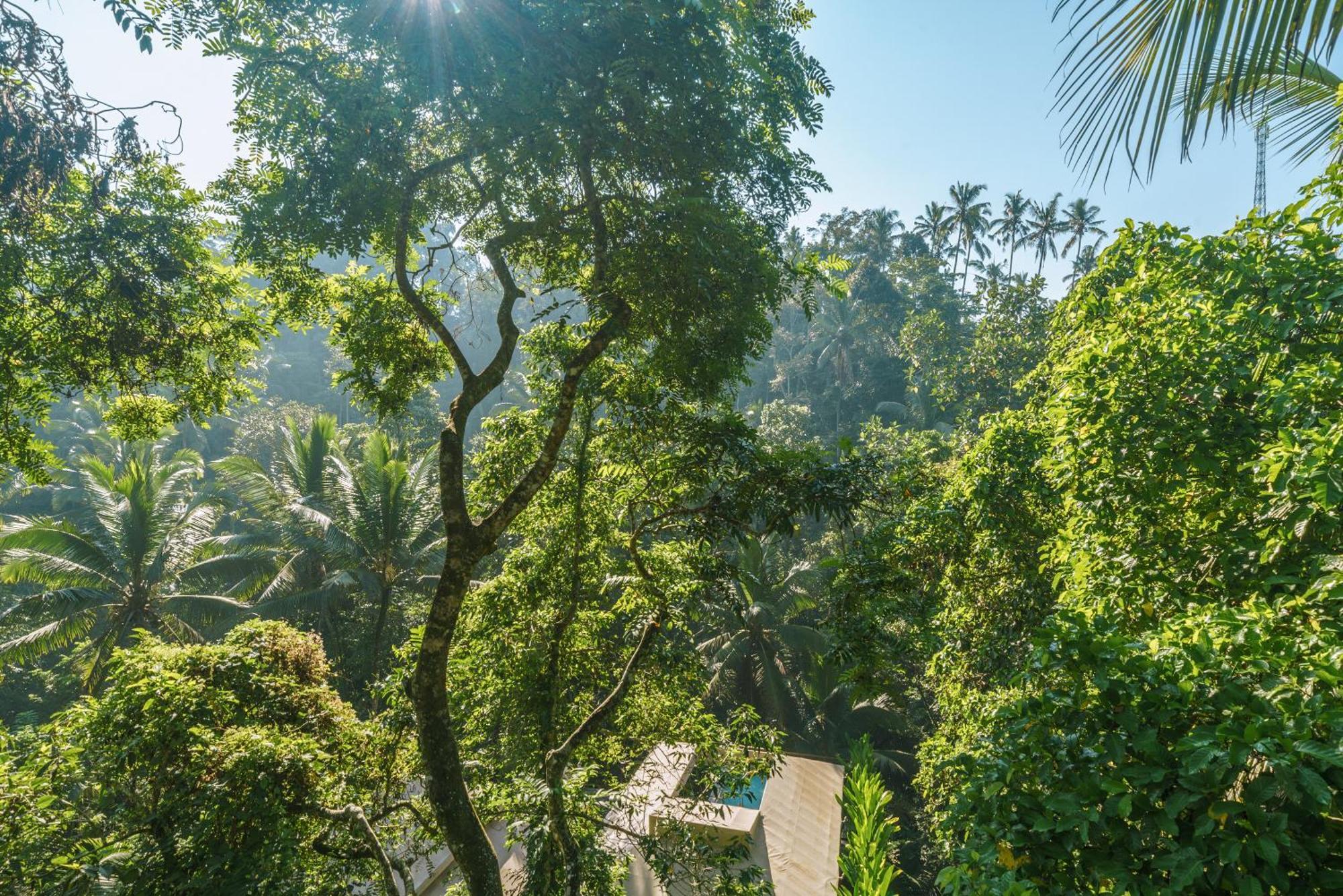 K Club Ubud 部屋 写真